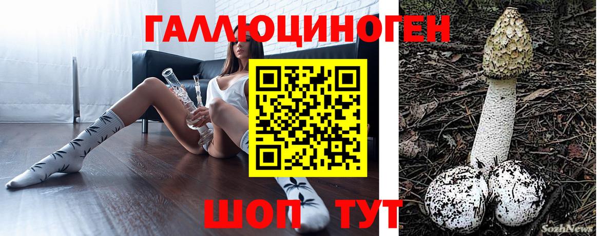 Галлюциногенные грибы Magic Shrooms  Галлюциногенные грибы ЛСД  Вход с VPN  Тавда 